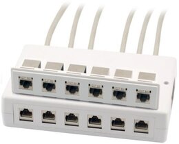 Wirewin 2x 6-Port Aufputzbox für Keystone Module, grau, Kunststoff