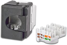 Wirewin KAT6 Gigabit Ethernet Keystone Modul, ungeschirmt