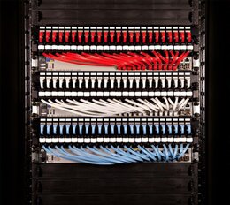 PATCHBOX PATCHBOX® 365 Kassette mit KAT6 STP Slim-Patchkabel, 0,8 m, gelb