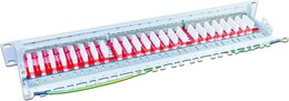 Wirewin 24-Port 19
