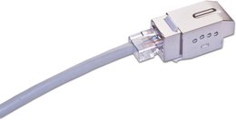 Wirewin KAT6 10 Gigabit Ethernet Keystone Modul, mit Sperrfunktion