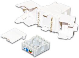 Wirewin Wirewin® KAT6A Gigabit Ethernet Keystone Modul, ungeschirmt