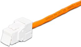 Wirewin Wirewin® KAT6A Gigabit Ethernet Keystone Modul, ungeschirmt