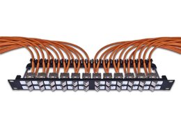 Wirewin High Quality 24-Port Keystone Modul-Leerpanel, 19