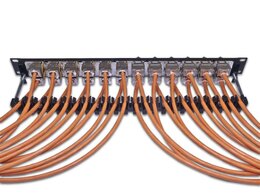 Wirewin High Quality 24-Port Keystone Modul-Leerpanel, 19