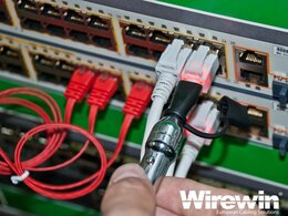 Wirewin LED Patchkabel Detektor