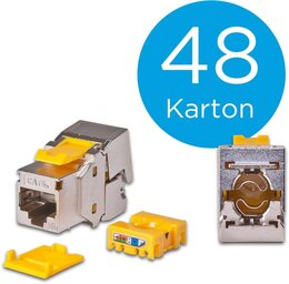 Wirewin Wirewin KAT6A 10 Gigabit Ethernet Keystone Modul, geschirmt 