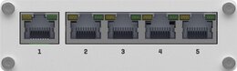 Teltonika IP30 Industrie 5-Port 1Gbit Passiv-PoE unmanaged Switch, -40°C - +75°C