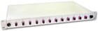 LWL Spleissbox, 12 Fasern, 12x SC Multimode, 50/125µm OM4 Pigtail