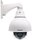 2.0 Megapixel Pendant PTZ Dome, WDR, 20x, Tag/Nacht